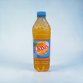 Oasis tropical