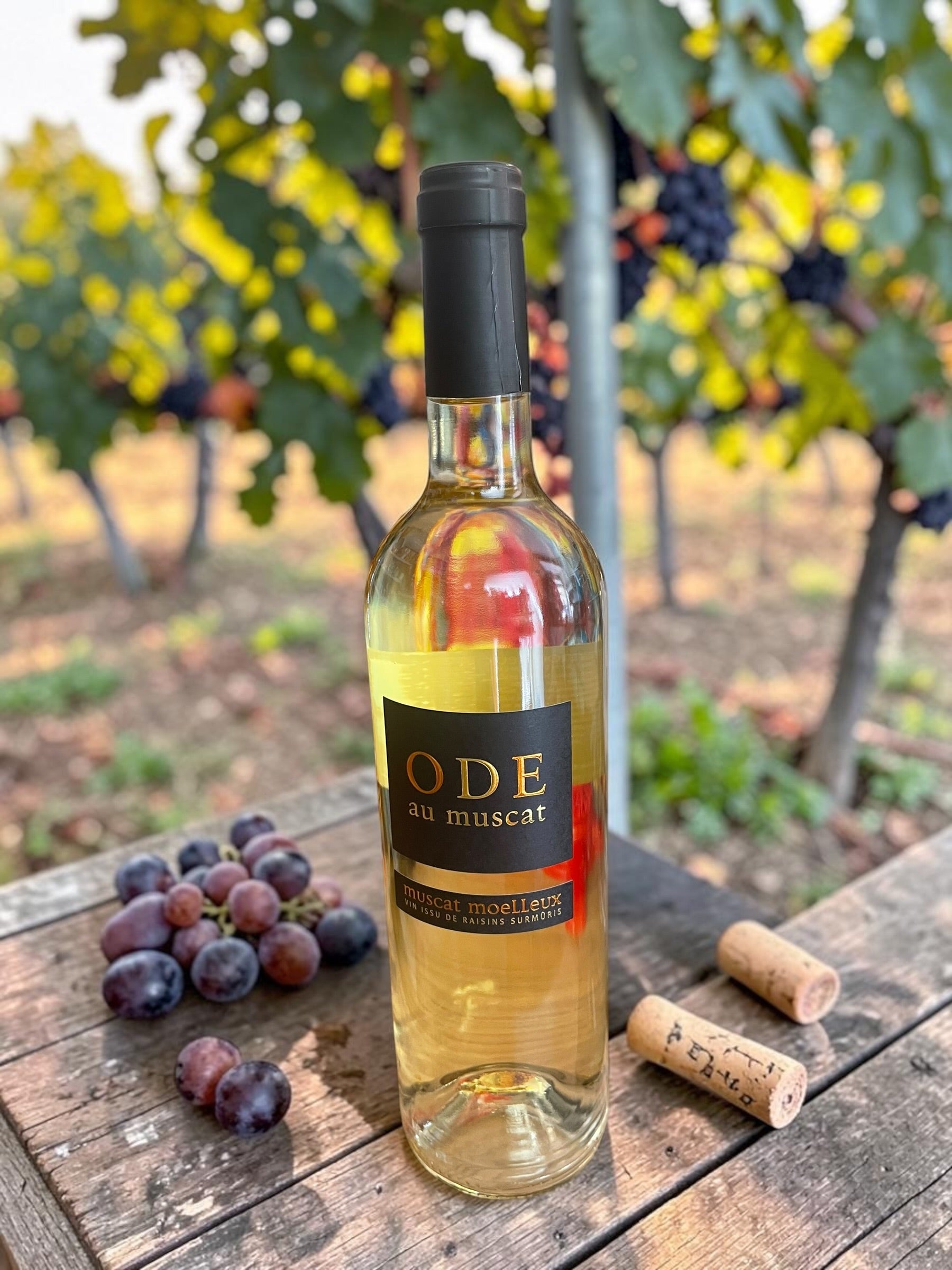 Ode au muscat